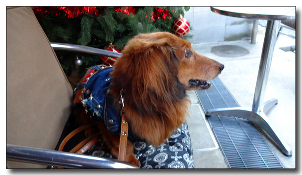 20131221082840.JPG