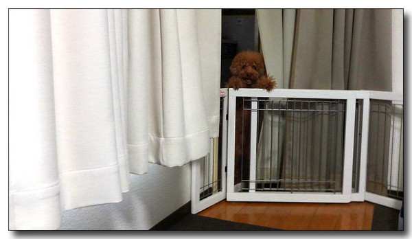 20131222103514.JPG