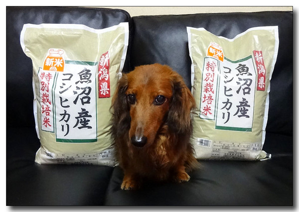 20131226070507.JPG