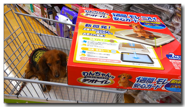 20131226074344.JPG