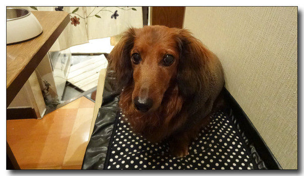 20131226132031.JPG