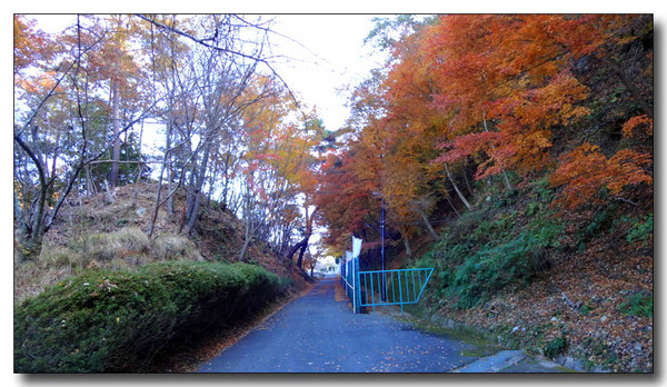 20131229130308.JPG