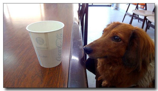 20131229130452.JPG