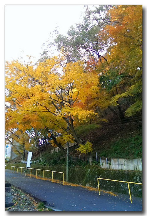 20131229130815.jpg