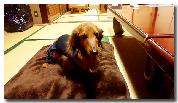 20131231170235.JPG