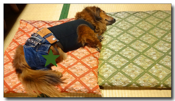 20140101152256.JPG