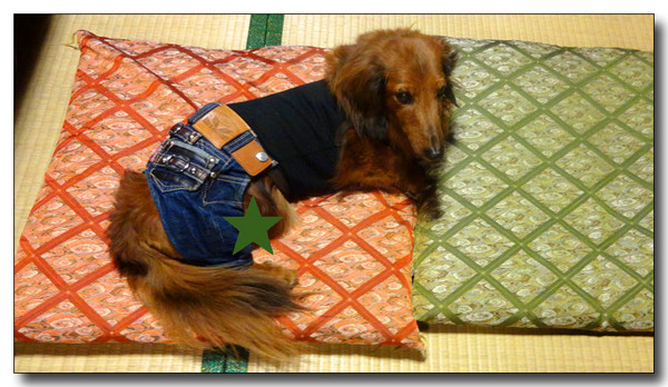 20140101152257.jpg