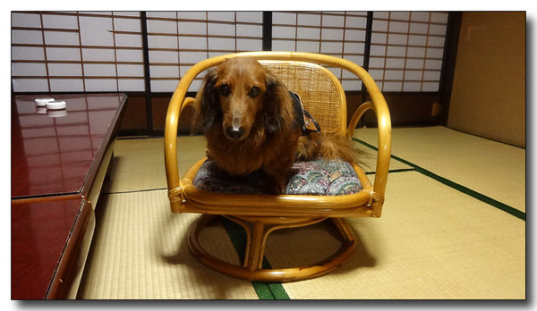 20140101152259.JPG