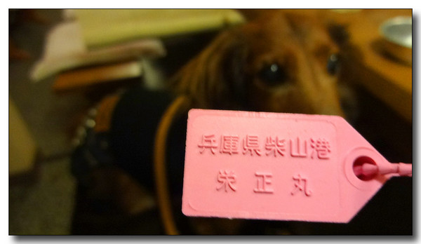 20140101214513.JPG
