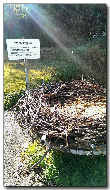 20140102125807.jpg