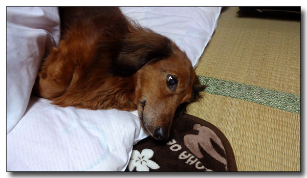 20140105230037.JPG