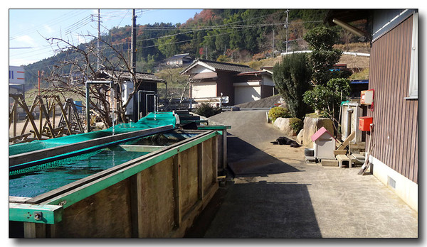 20140105230038.JPG