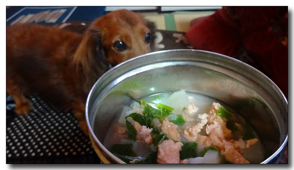 20140105230109.JPG