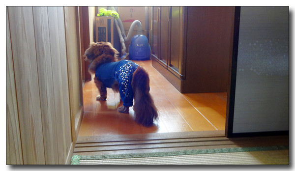 20140105230140.JPG