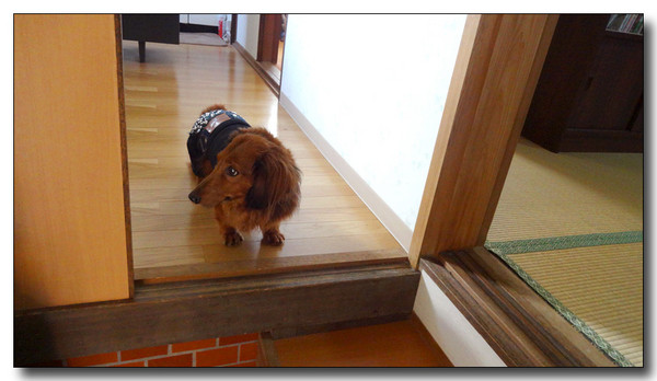 20140105230142.JPG