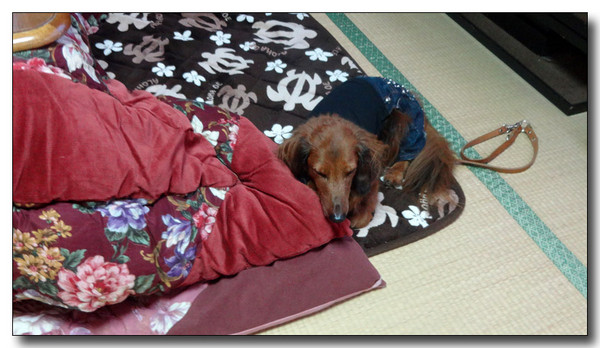 20140105230144.JPG