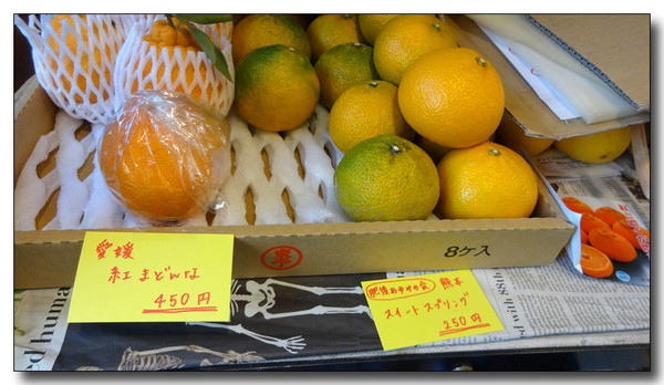 20140124093349.JPG