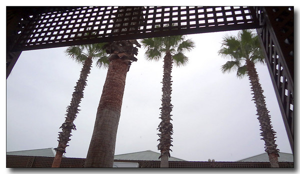 20130610081248.JPG