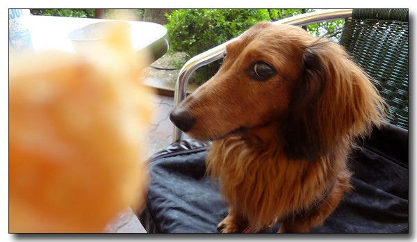 20130610081250.JPG