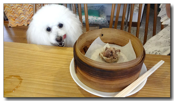 20130610154703.JPG