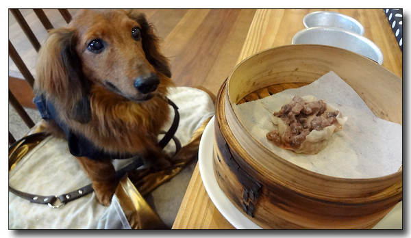 20130610154704.JPG