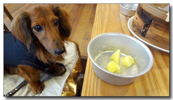 20130610154725.JPG