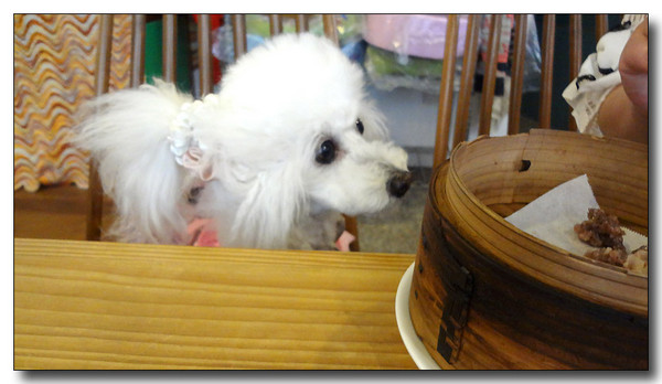 20130610154726.JPG