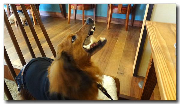 20130610154751.JPG