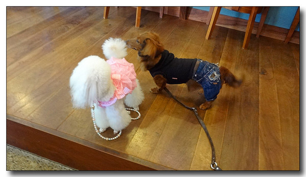 20130610154753.JPG