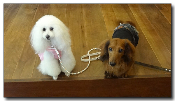 20130610154755.JPG