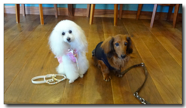 20130610154819.JPG