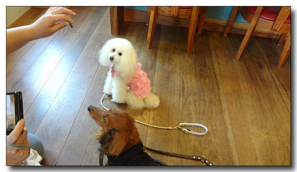 20130610154821.JPG