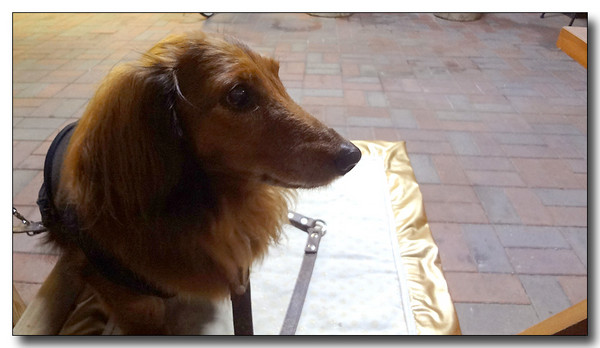 20130612052732.JPG
