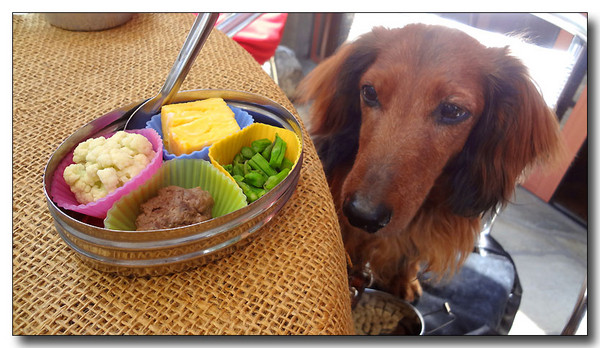 20130612113508.JPG