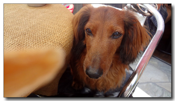 20130612113510.JPG