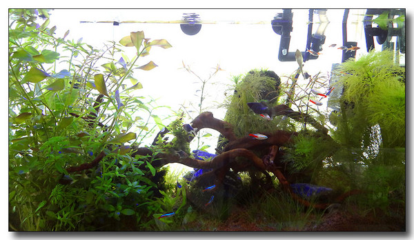 20130612165915.JPG