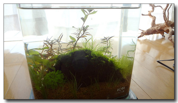 20130612165916.JPG