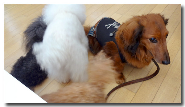 20130612165918.JPG