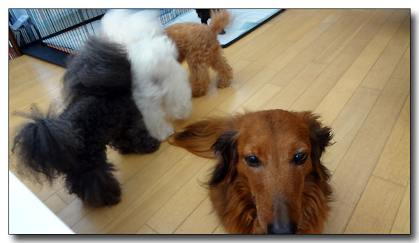 20130612165938.JPG