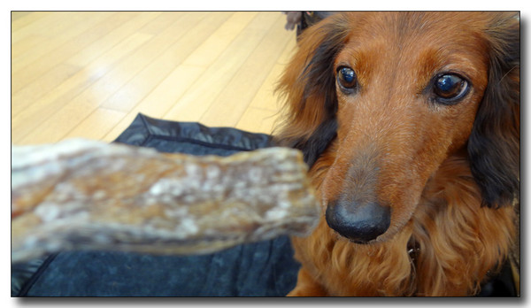 20130612165951.JPG