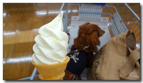 20130612213609.JPG