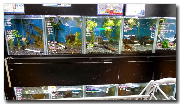 20130612213610.JPG