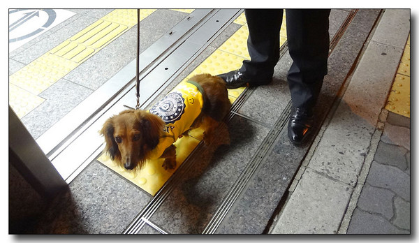 20130613064916.JPG