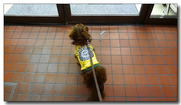 20130613064917.JPG