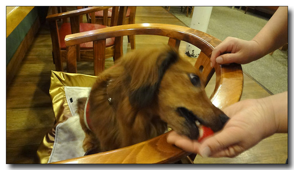 20130613185817.JPG 20130613185817.JPG