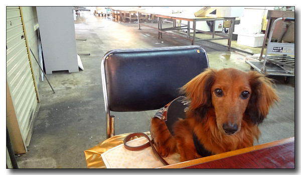 20130614103757.JPG