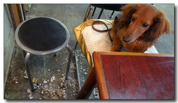 20130614103758.JPG