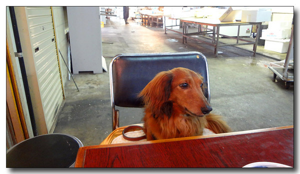 20130614103759.JPG