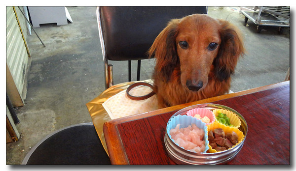 20130614103828.JPG