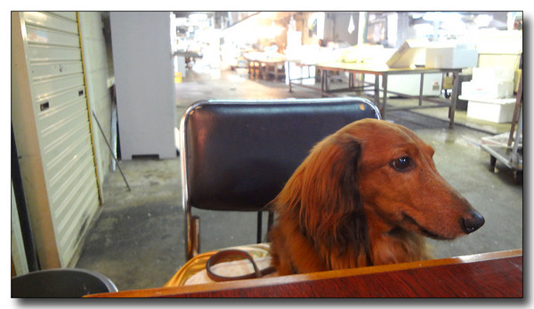 20130614103852.JPG